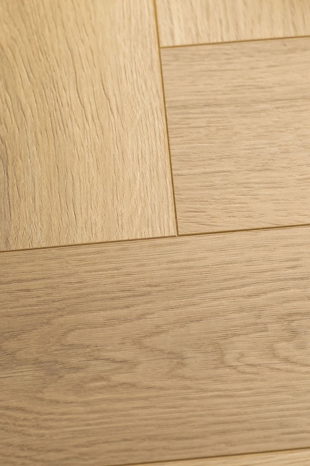 Дуб Констанция | Constanzo oak 1F335