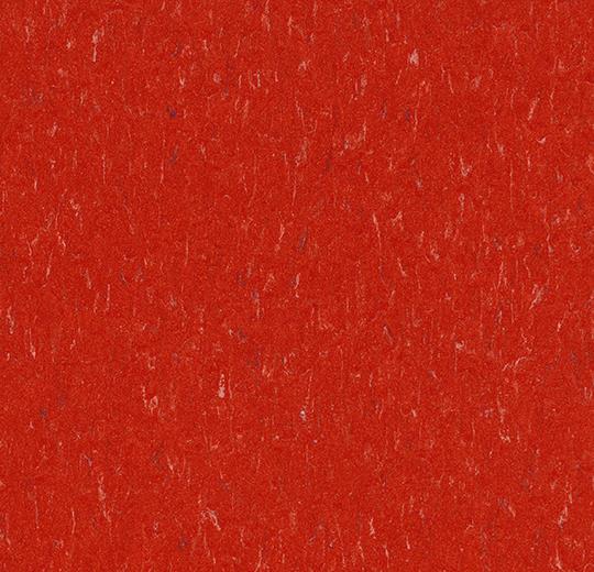 362535 salsa red