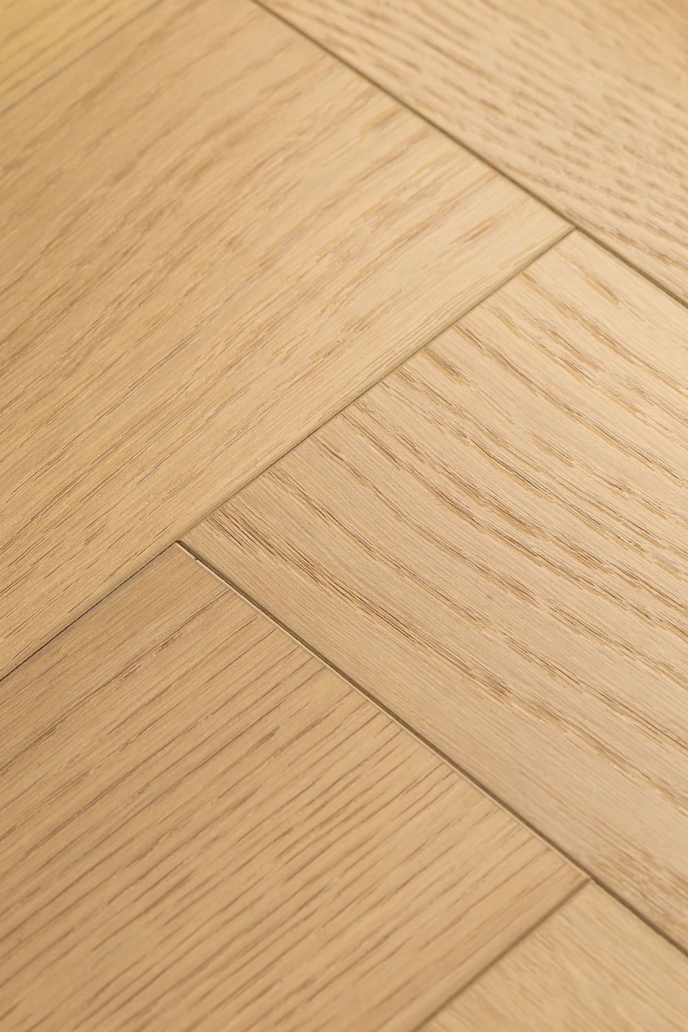 Дуб Умбра | Umbra oak 1F440