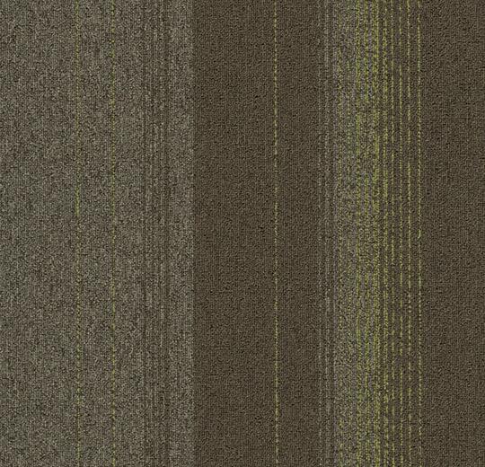 2805 olivaceous