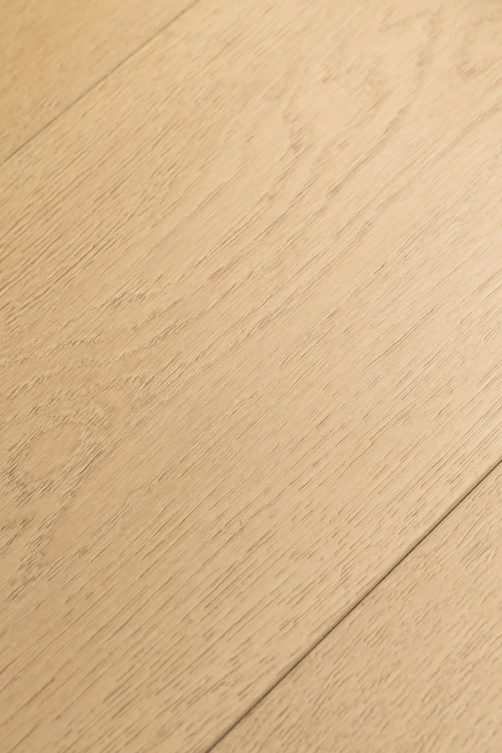 Дуб Одалиска | Odalisque oak 1F426