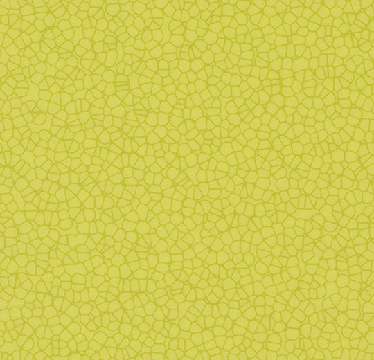 90758T4315 citrus halo contour