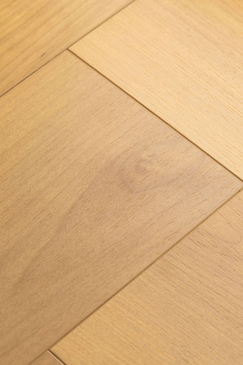 Дуб Ривьера | Rivera oak 1F411