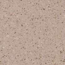 5354 Coriander