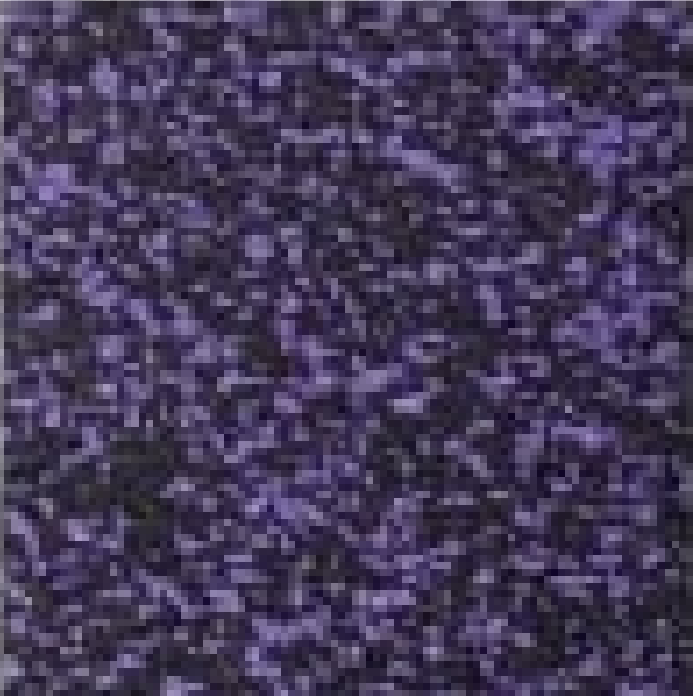 Фиолетовый 70