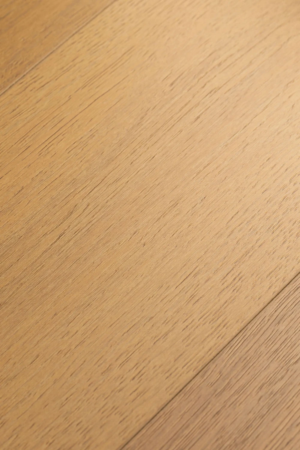 Дуб Яшма | Jasper oak 1F431