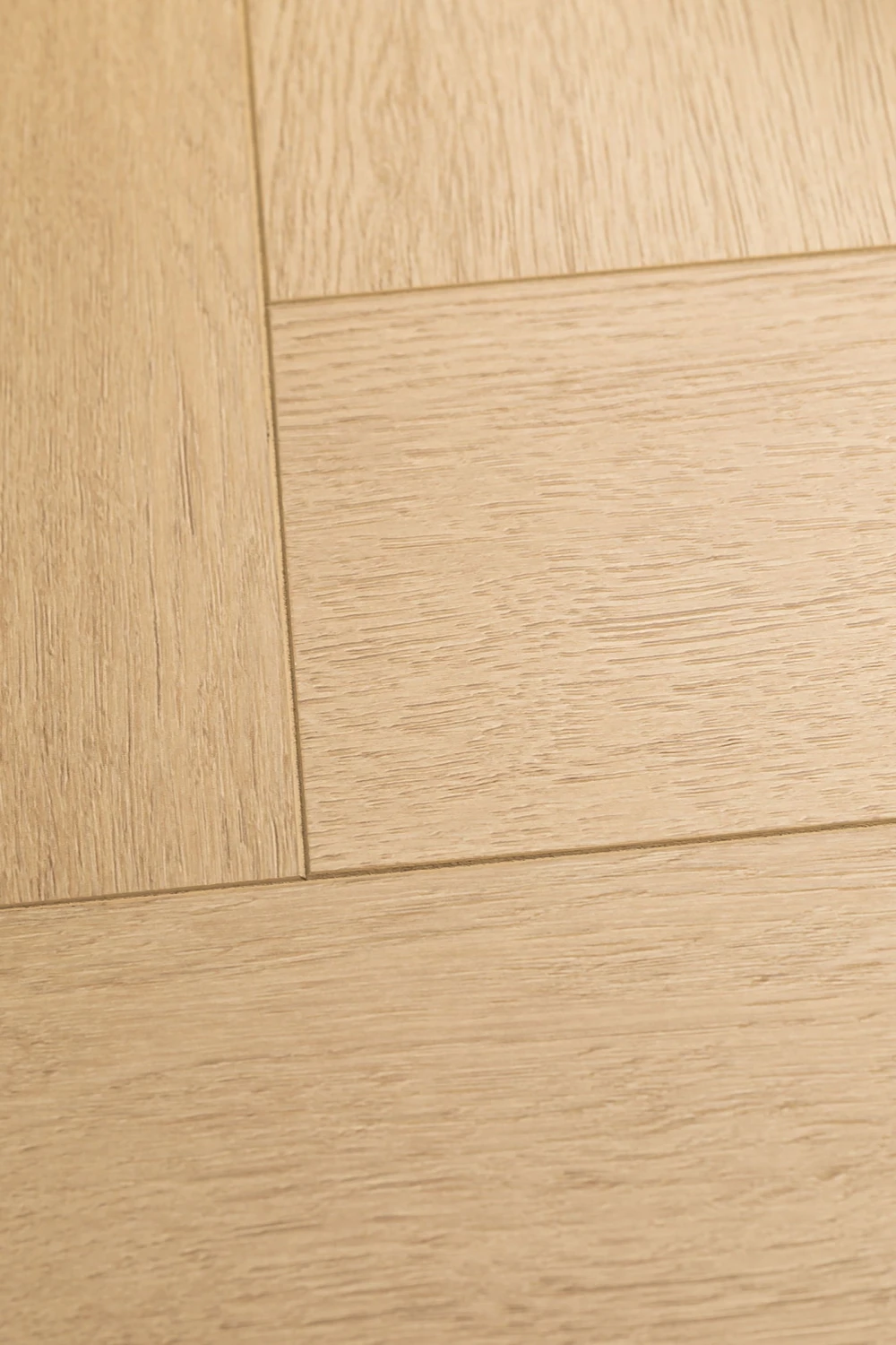 Дуб Одалиска | Odalisque oak 1F442