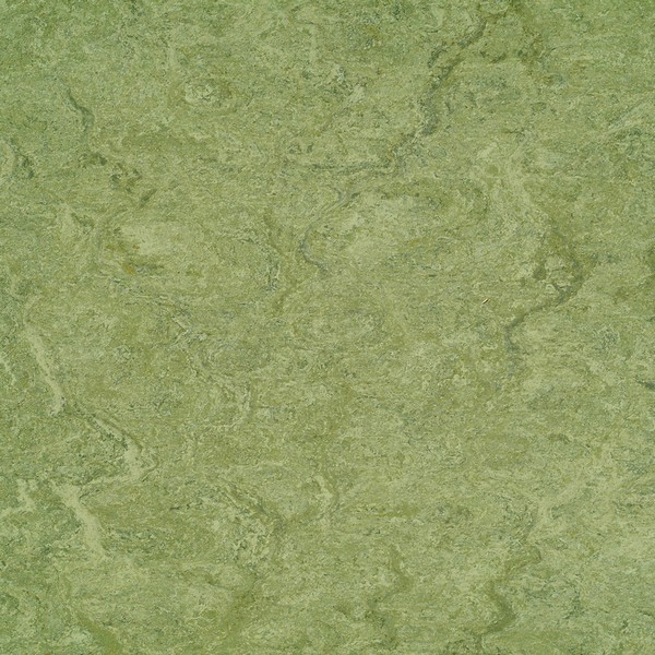 121-100 frog green