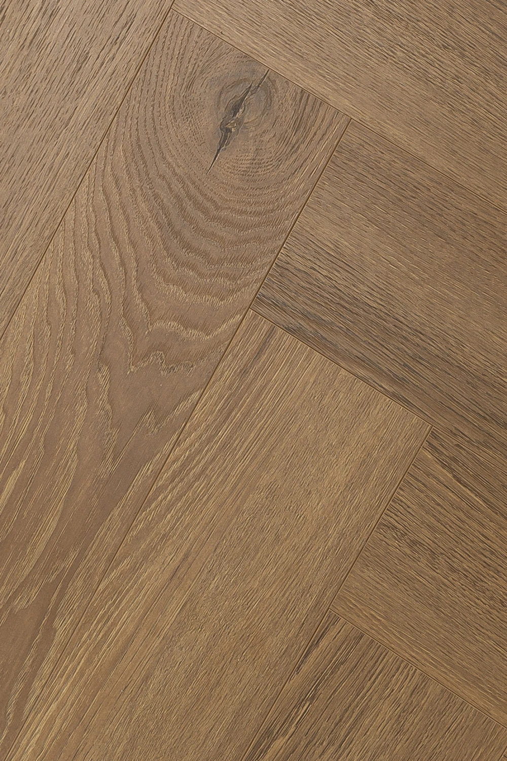 Дуб Серено | Sereno oak 1F343