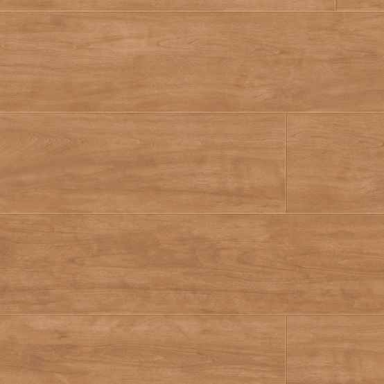 0262 Elm